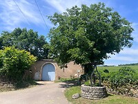 IMG_9968