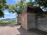 IMG_9985