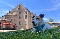 IMG_9997