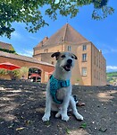 IMG_9991