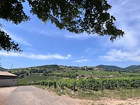 IMG_0011