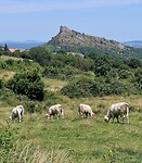 IMG_0021