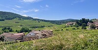 IMG_0040