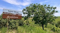 IMG_0043