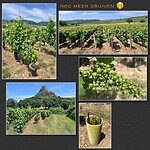IMG_0061
