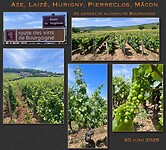 IMG_0071