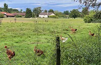 IMG_2821