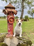IMG_2804