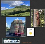 IMG_3057