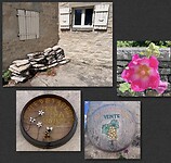 IMG_3055