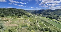 IMG_2996