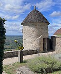 IMG_2993
