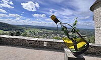 IMG_2992