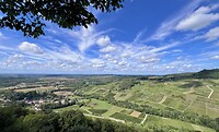 IMG_2972