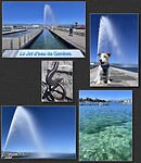 IMG_3259