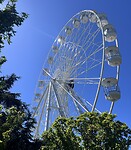 IMG_3134