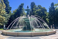 IMG_3132