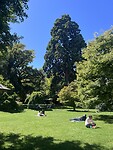 IMG_3130