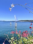 IMG_3110