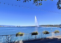 IMG_3109
