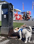 IMG_3105