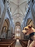 IMG_3100