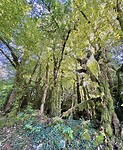 IMG_3216