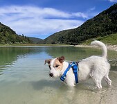 IMG_3163