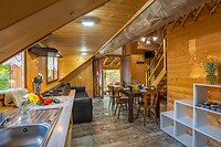 IMG_6231