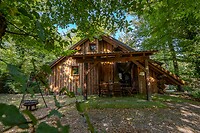 IMG_6227