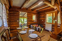 IMG_6234