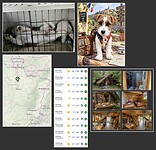 IMG_6778