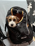 IMG_6865
