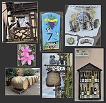 IMG_7039