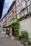 IMG_7004