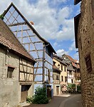 IMG_6992