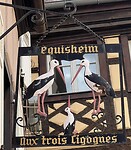 IMG_6990