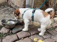 IMG_6967