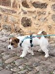 IMG_6960