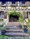 IMG_6955