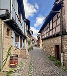 IMG_6951