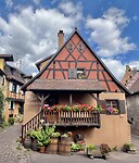 IMG_6948