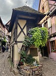 IMG_6937