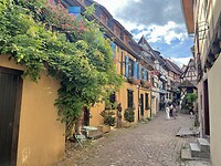 IMG_6935