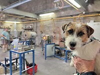 IMG_7114