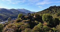 IMG_7275