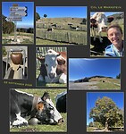 IMG_8040