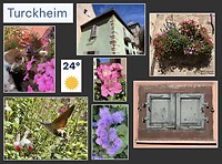 IMG_8328