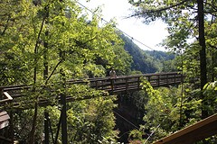 Prachtige natuur in Smokey Montains NP