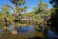 Caddo Lake